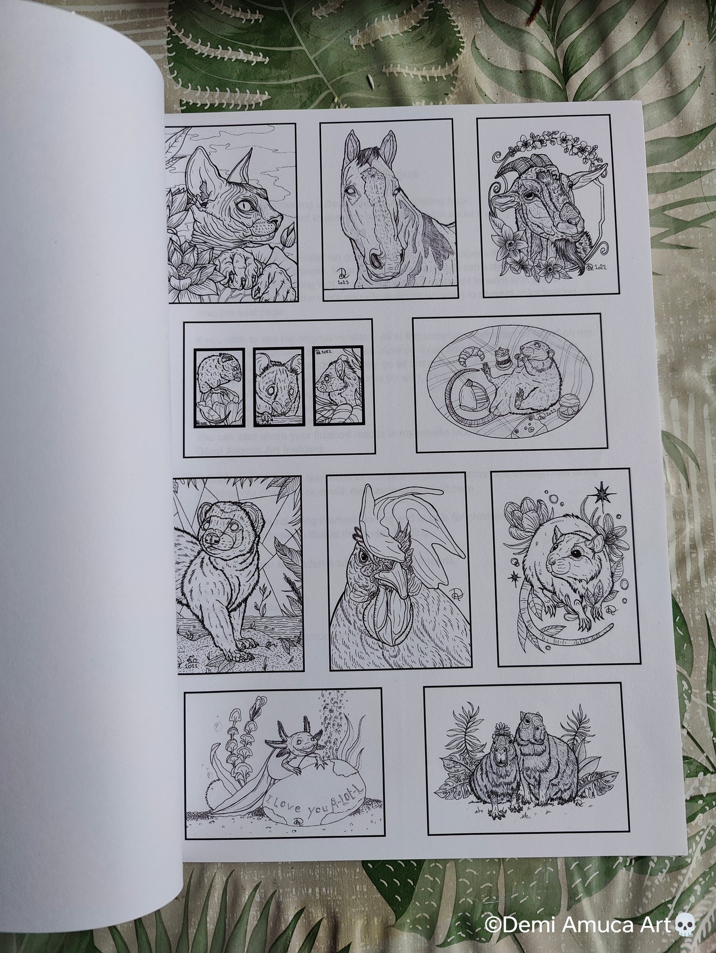 Coloring Books