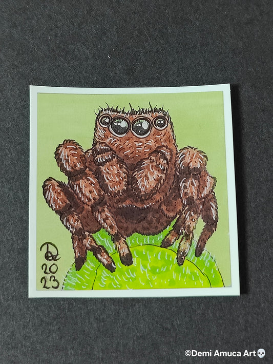 Sticker Brown Jumping Spider