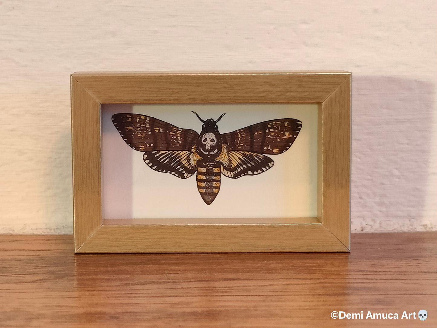 Framed Art Print Death's head hawk moth