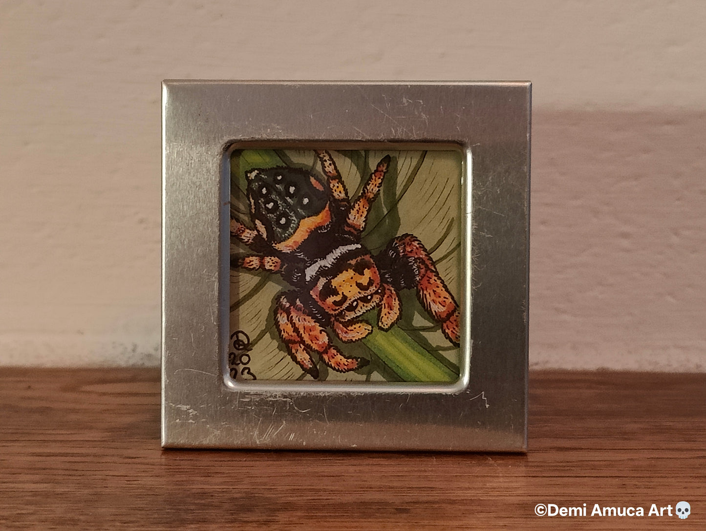 Framed Art Print: Jumping Spiders