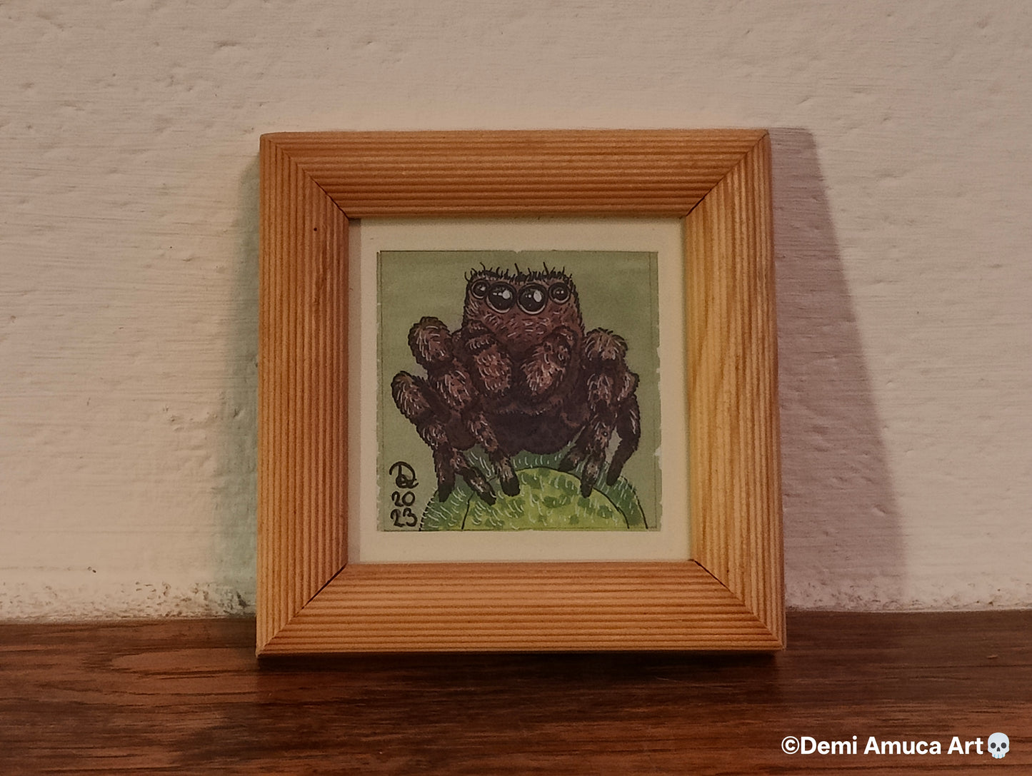 Framed Art Print: Jumping Spiders