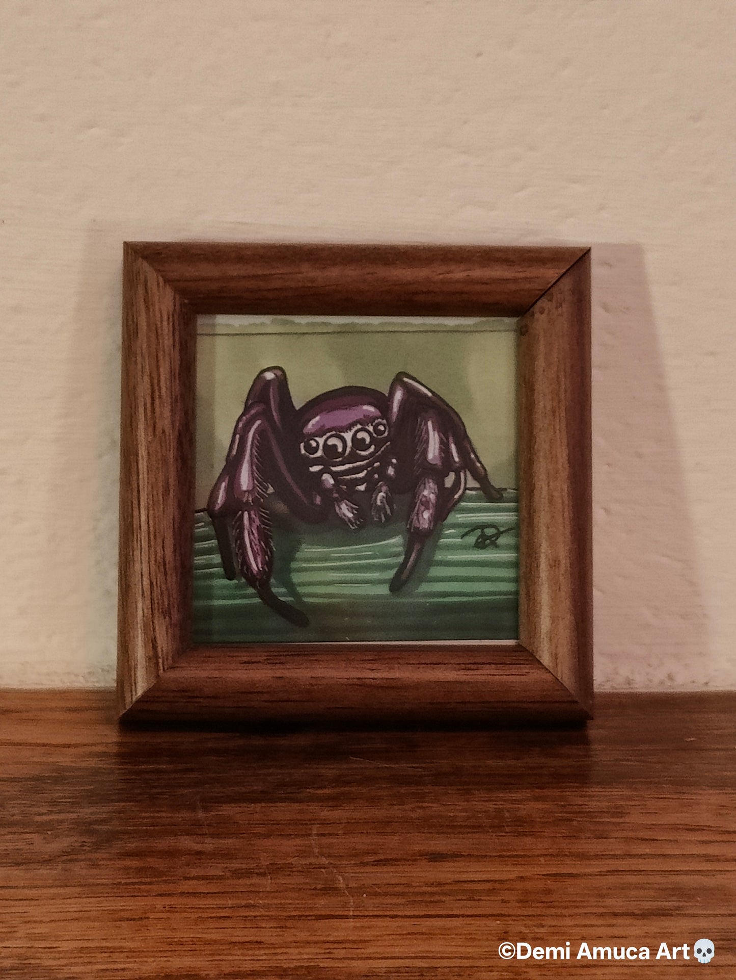 Framed Art Print: Jumping Spiders