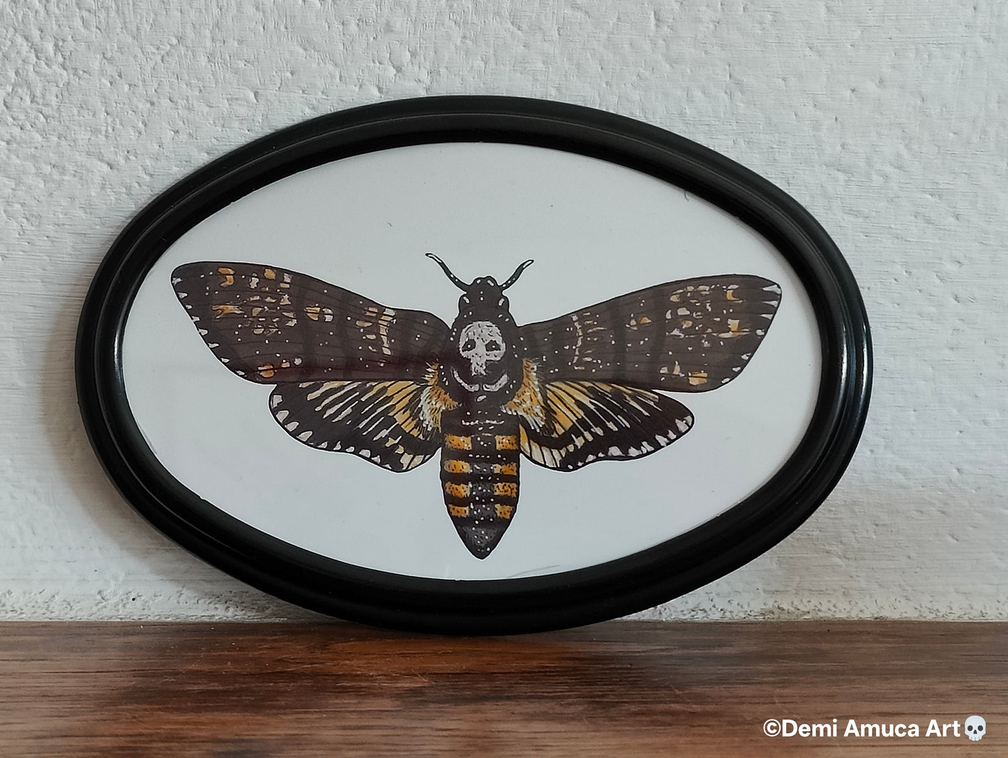 Framed Art Print Death's head hawk moth
