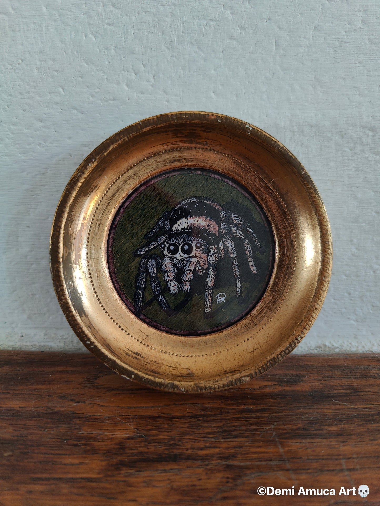 Framed Art Print: Jumping Spiders