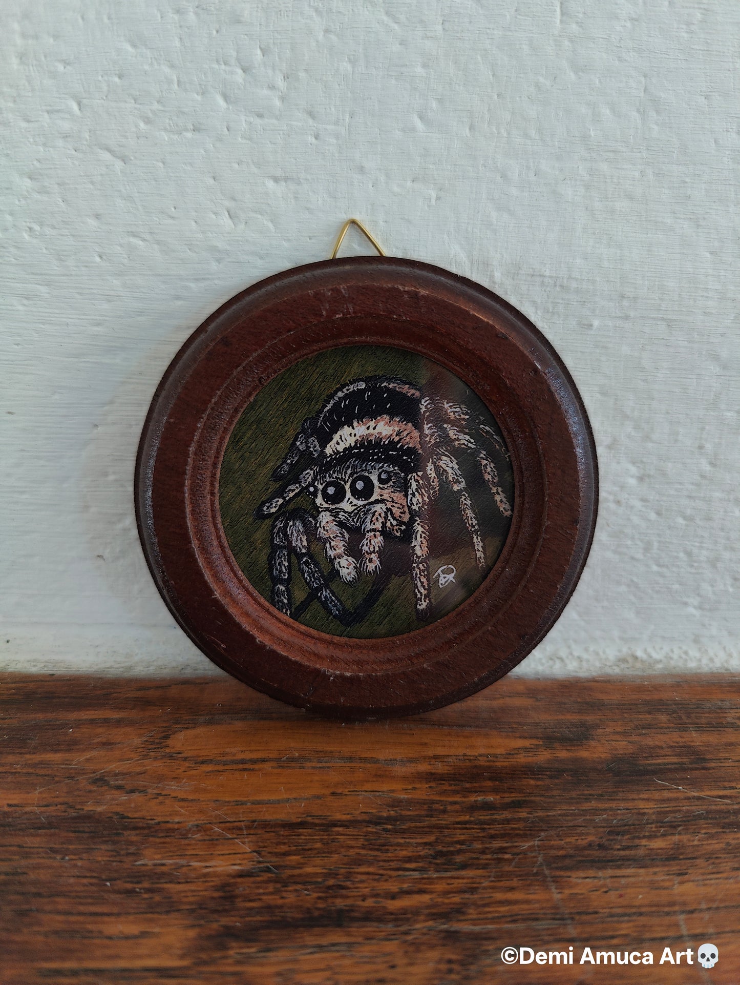 Framed Art Print: Jumping Spiders