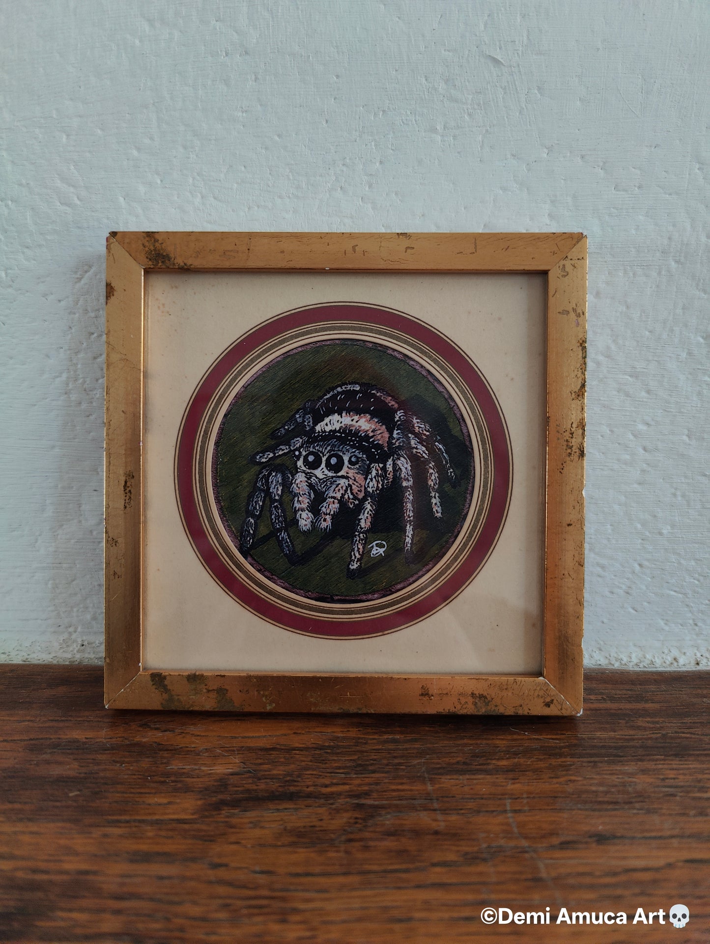 Framed Art Print: Jumping Spiders