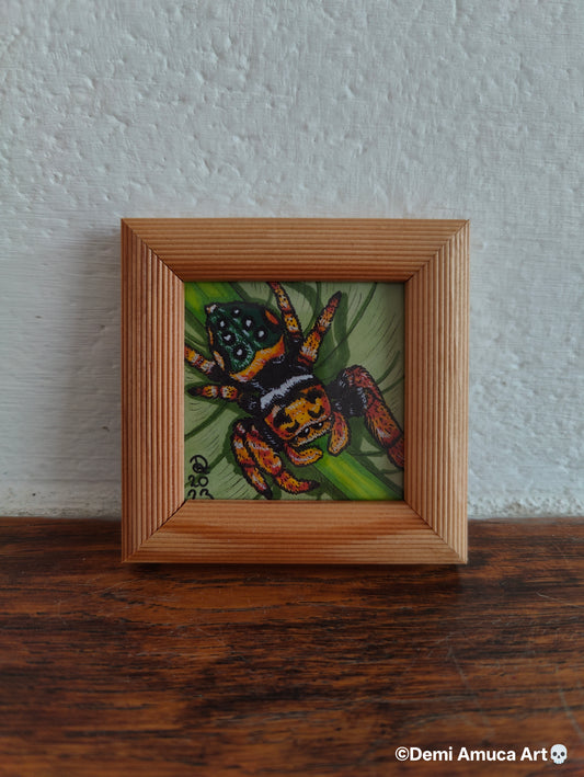 Framed Art Print: Yellow Jumping Spider