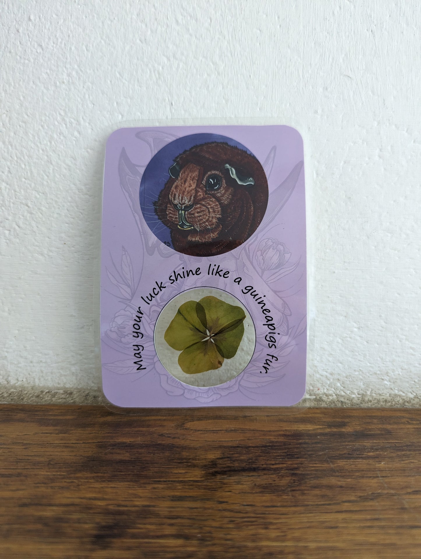 Lucky card: Guineapig