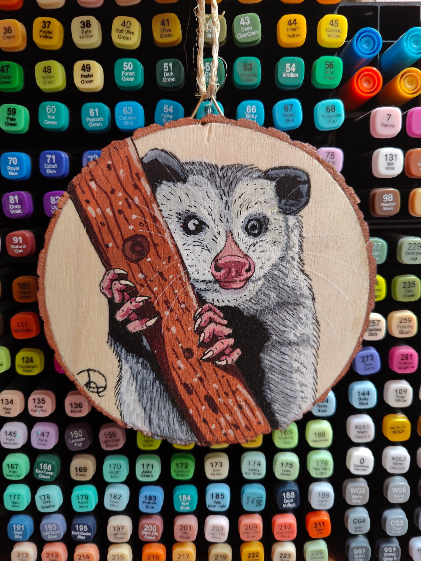 Woodpaint: Opossum