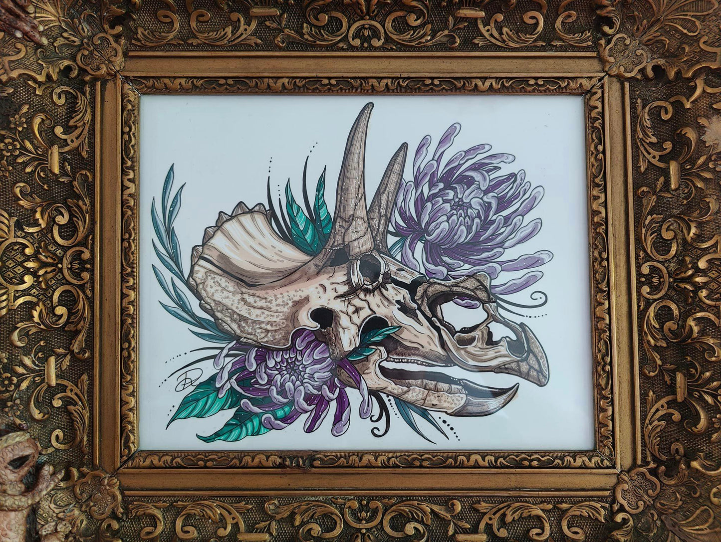 Framed Original Triceratops Skull (No Shipping)