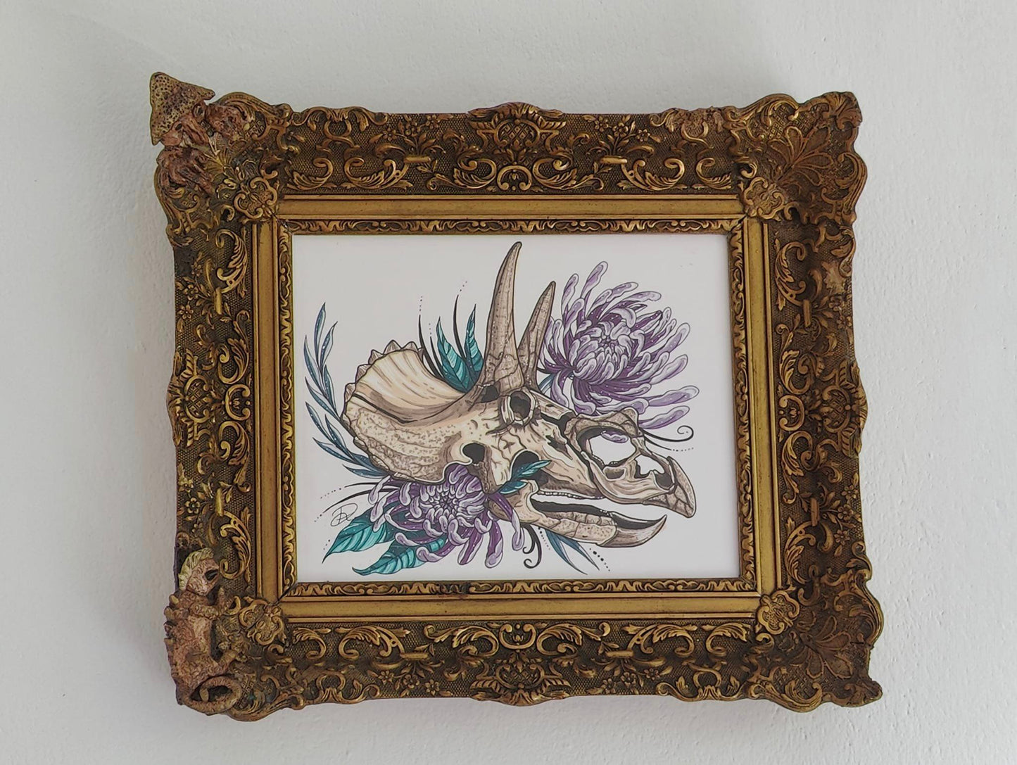 Framed Original Triceratops Skull (No Shipping)