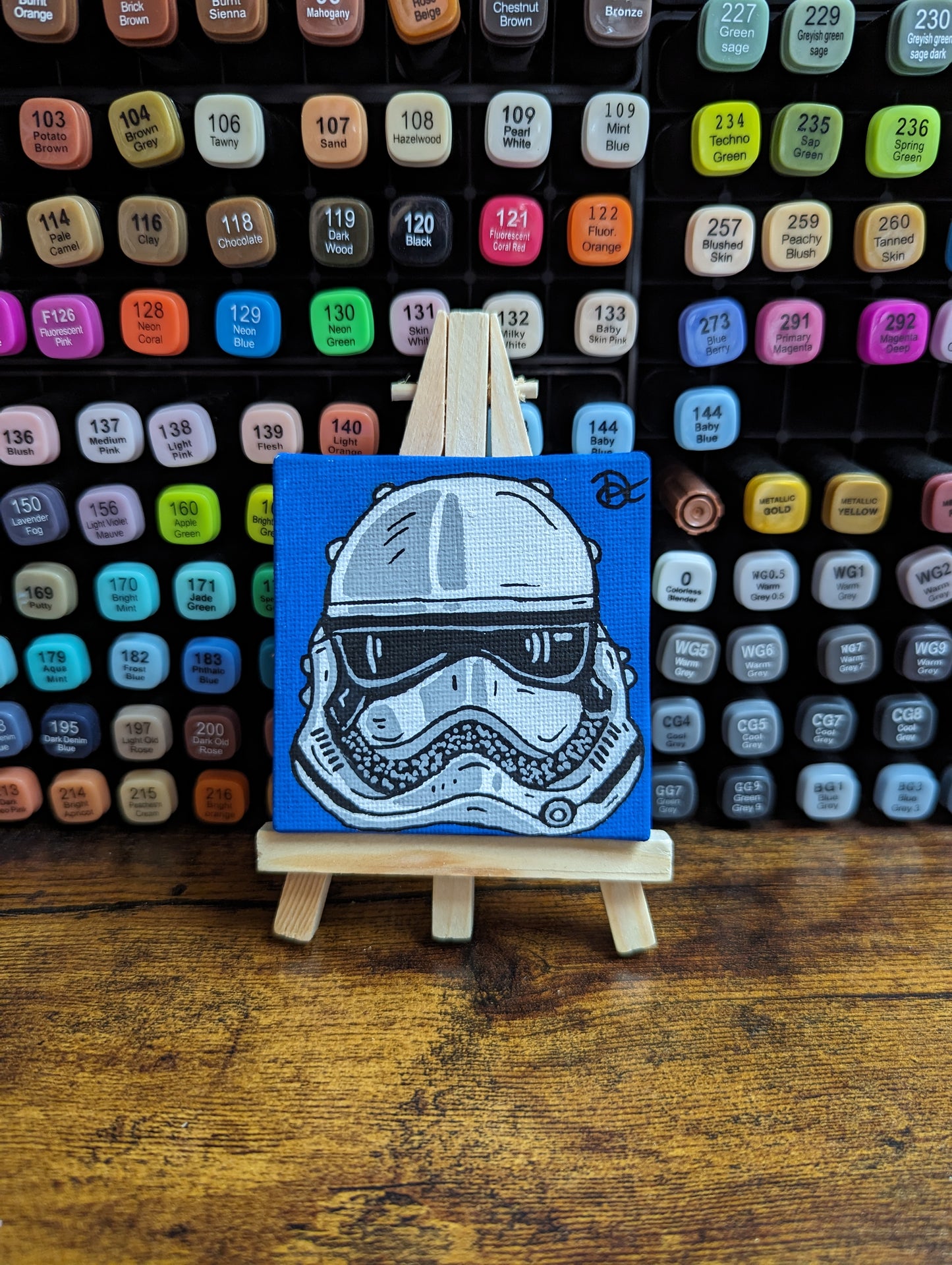 Stormtrooper canvas