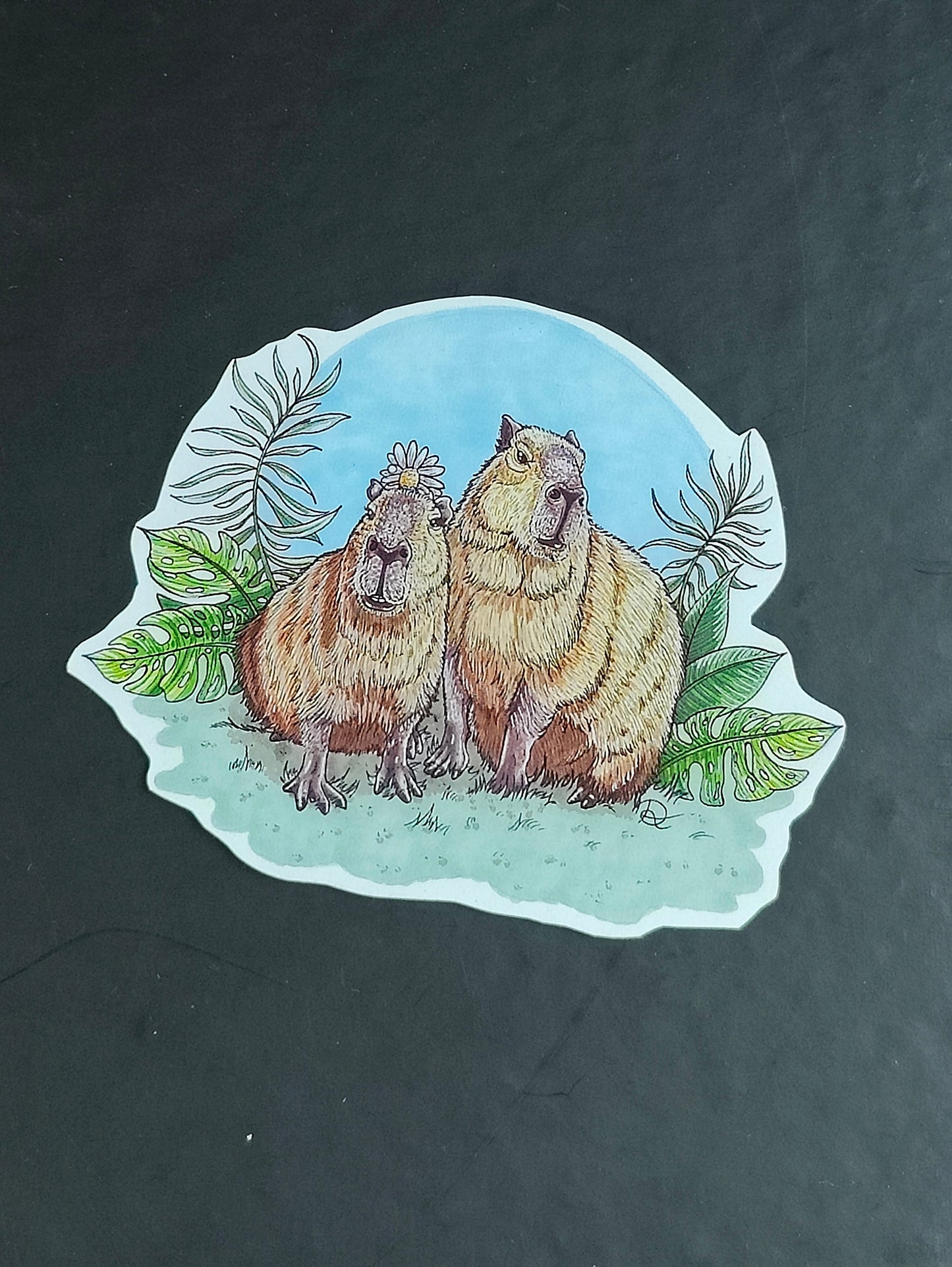 Sticker Capibara's