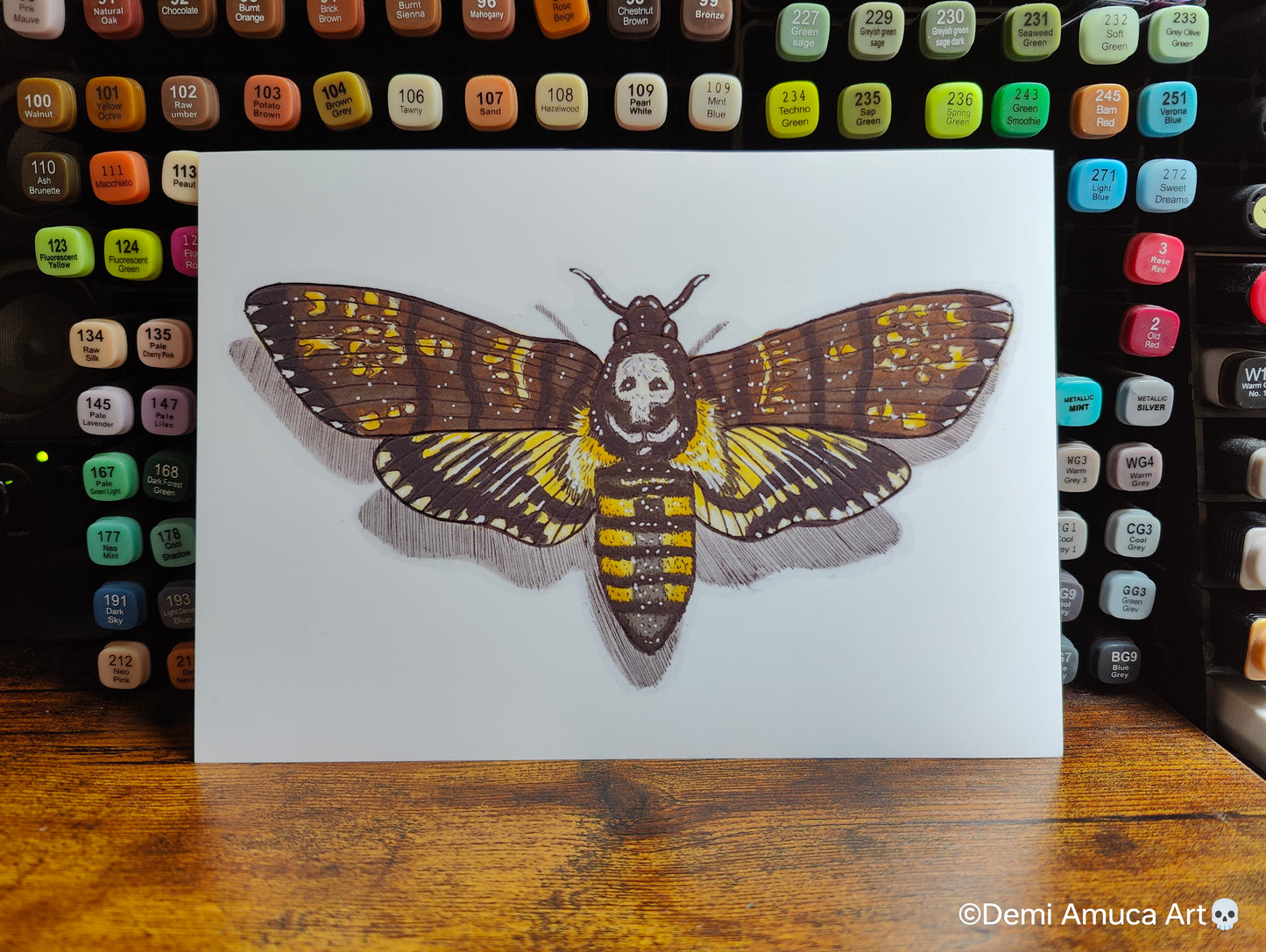 A5 Art print Deaths head hawk moth