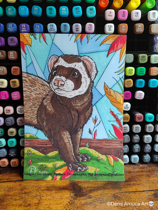 A5 Art print Brown Ferret