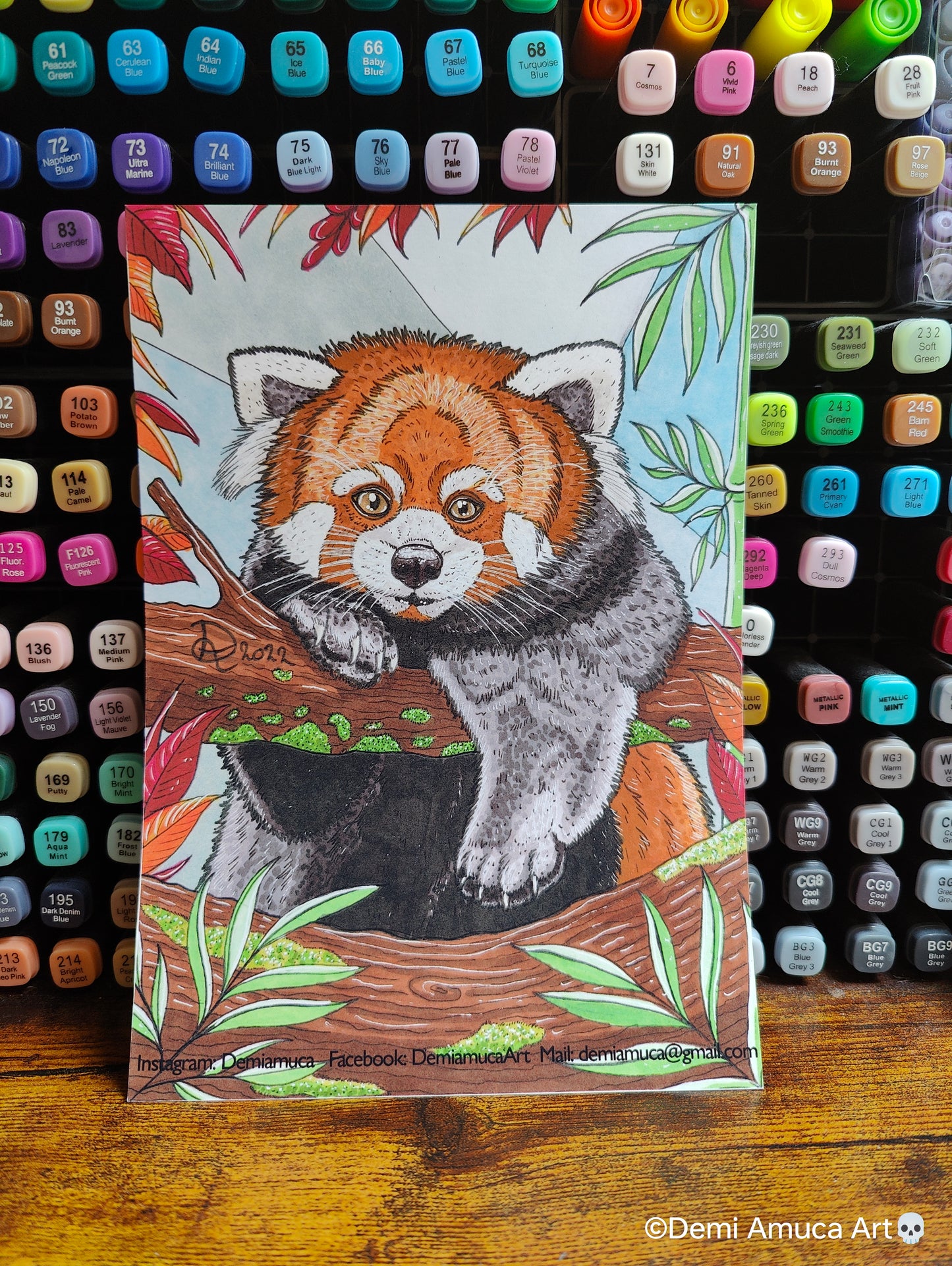 A5 Art print Red Panda