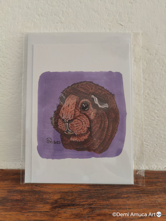 Postcard Guinea Pig