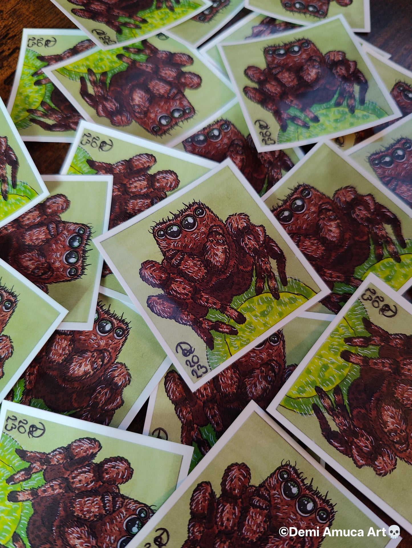 Sticker Brown Jumping Spider