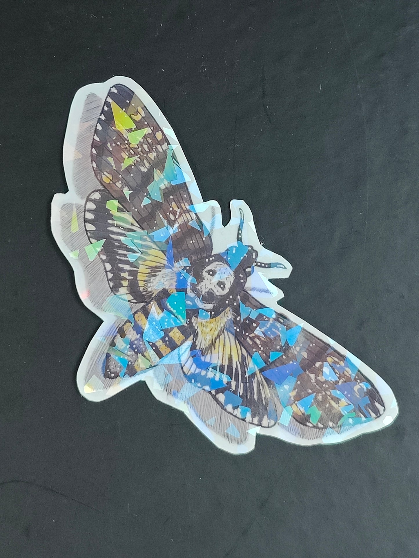 Sticker Death's head hawk moth