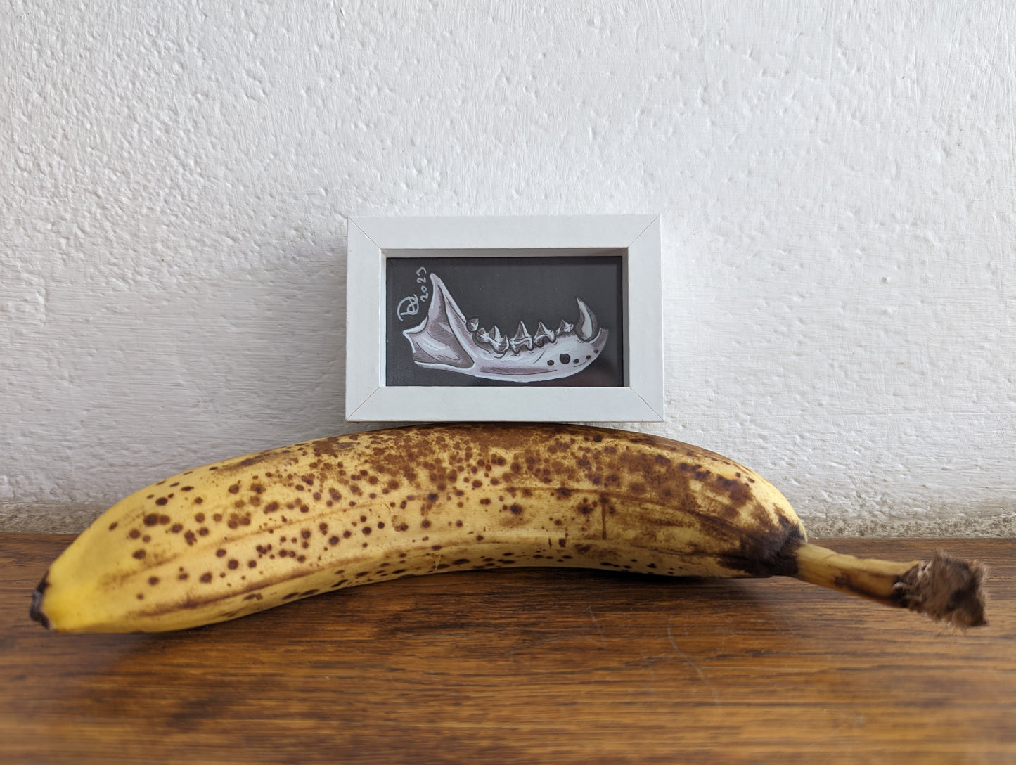 Framed Art Print Tiny Jawbone