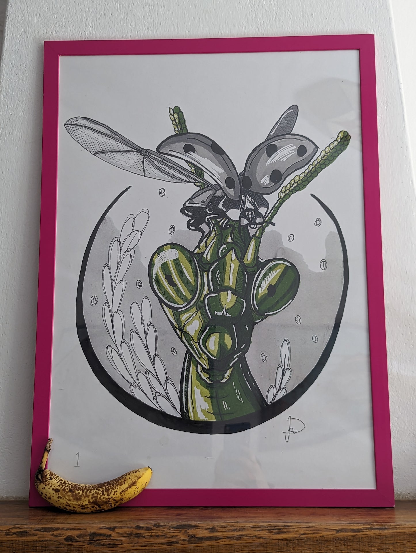 Framed Art Print Grasshopper (No shipping)