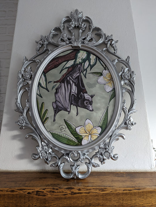 Framed Art Print Oval Bat (No shipping)