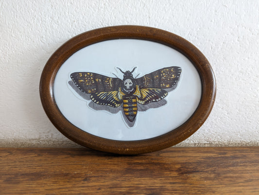 Framed Art Print Death's head hawk moth