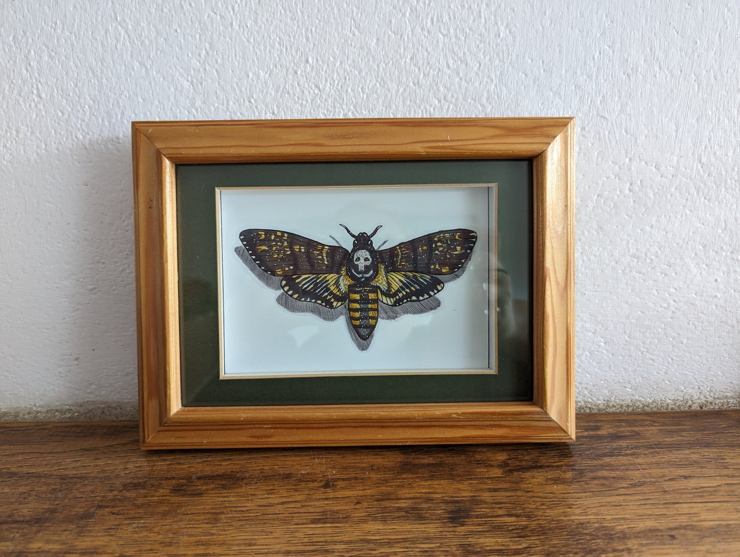 Framed Art Print Death's head hawk moth