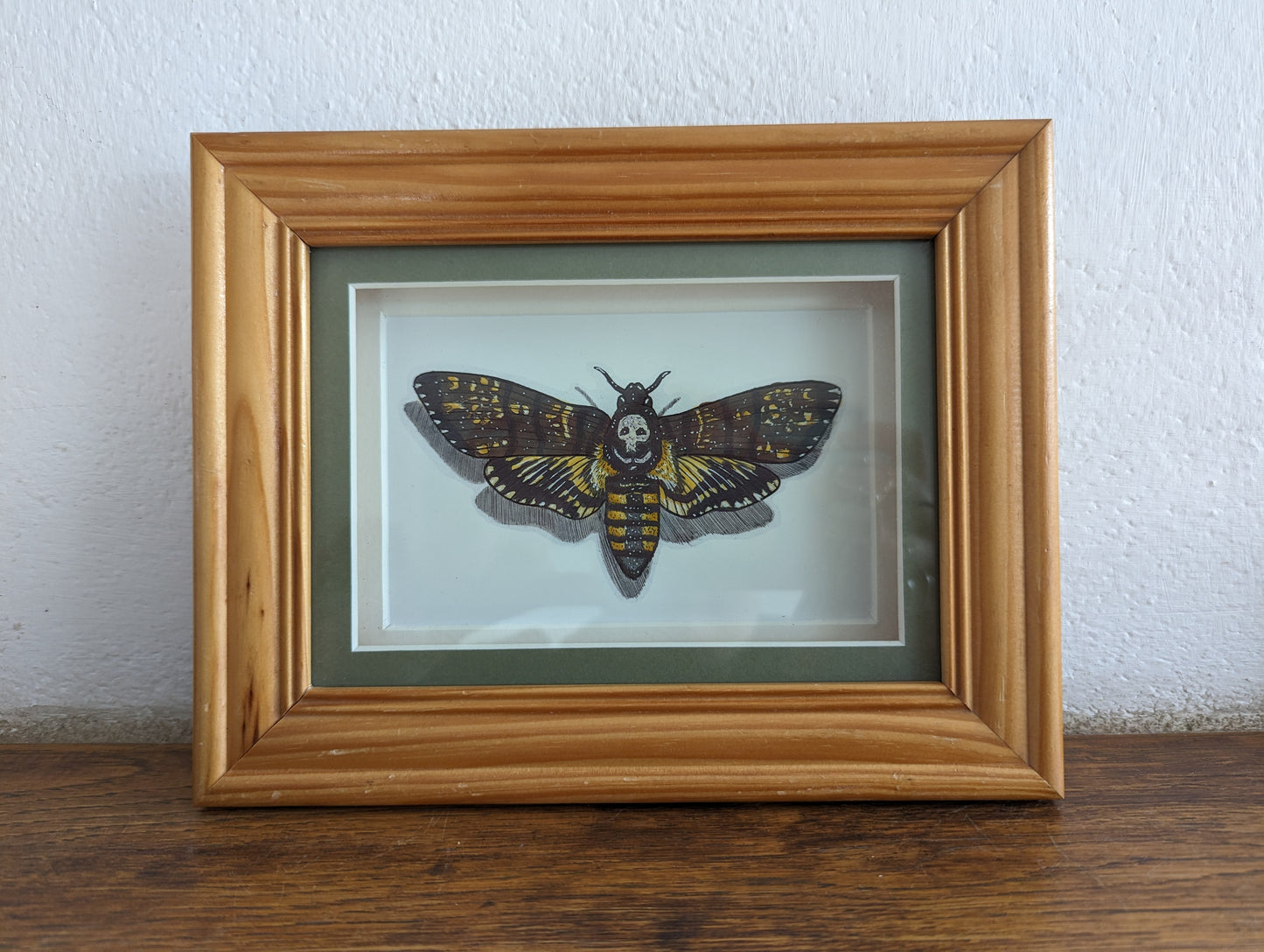 Framed Art Print Death's head hawk moth