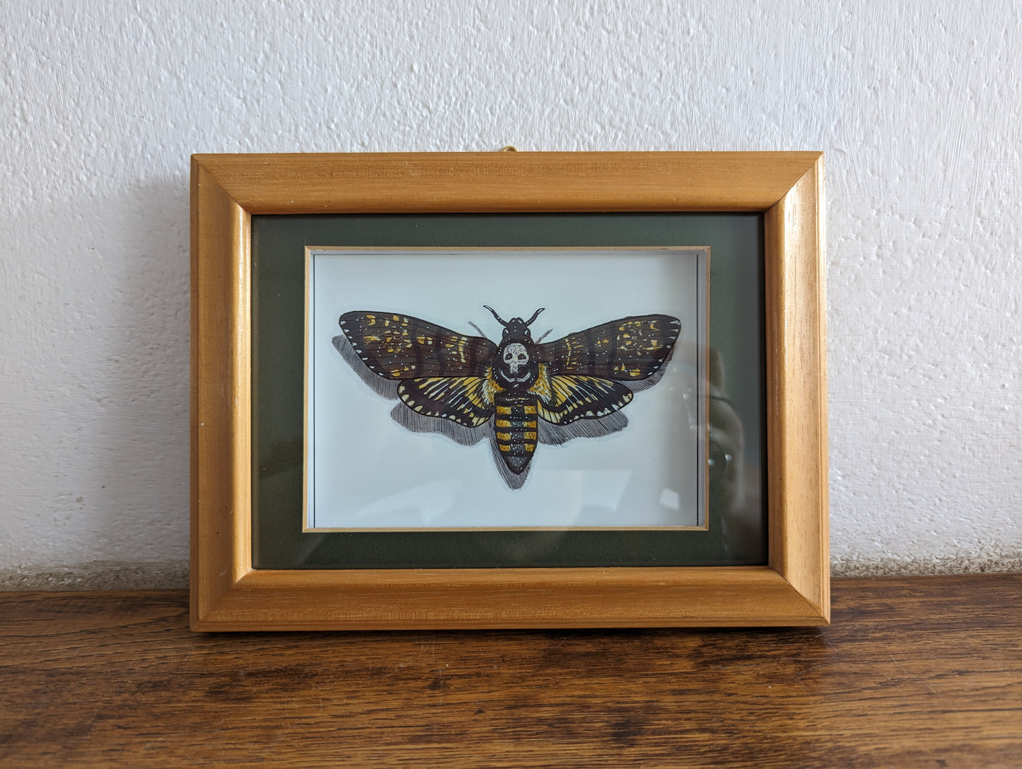 Framed Art Print Death's head hawk moth