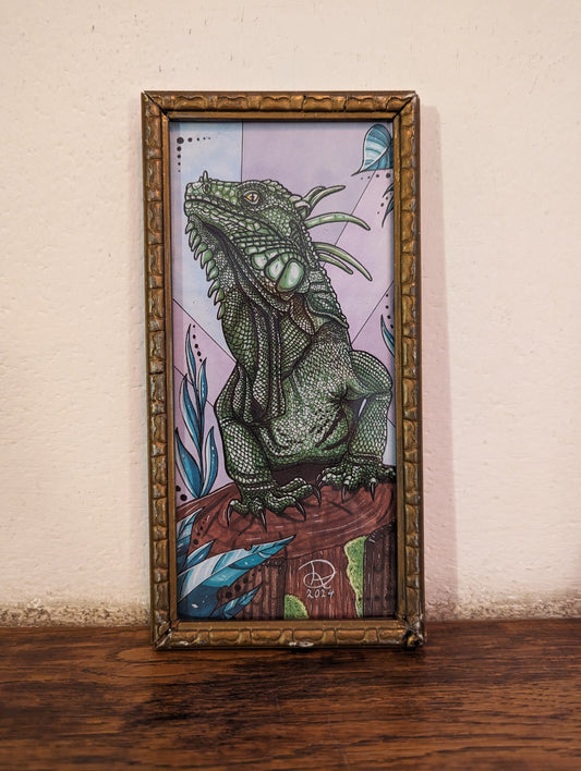 Framed Art Print Iguana