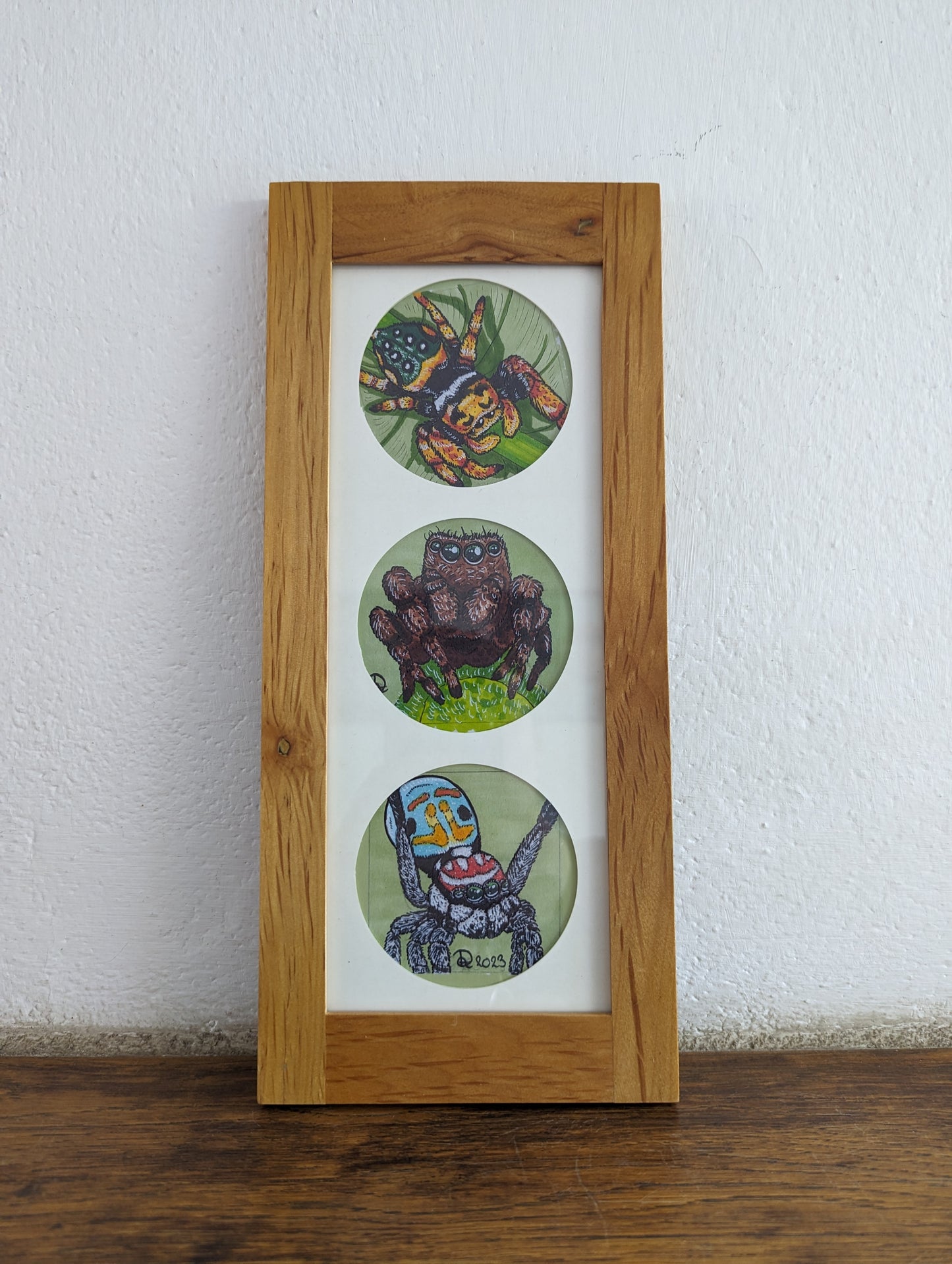 Framed Art Print Jumping Spiders