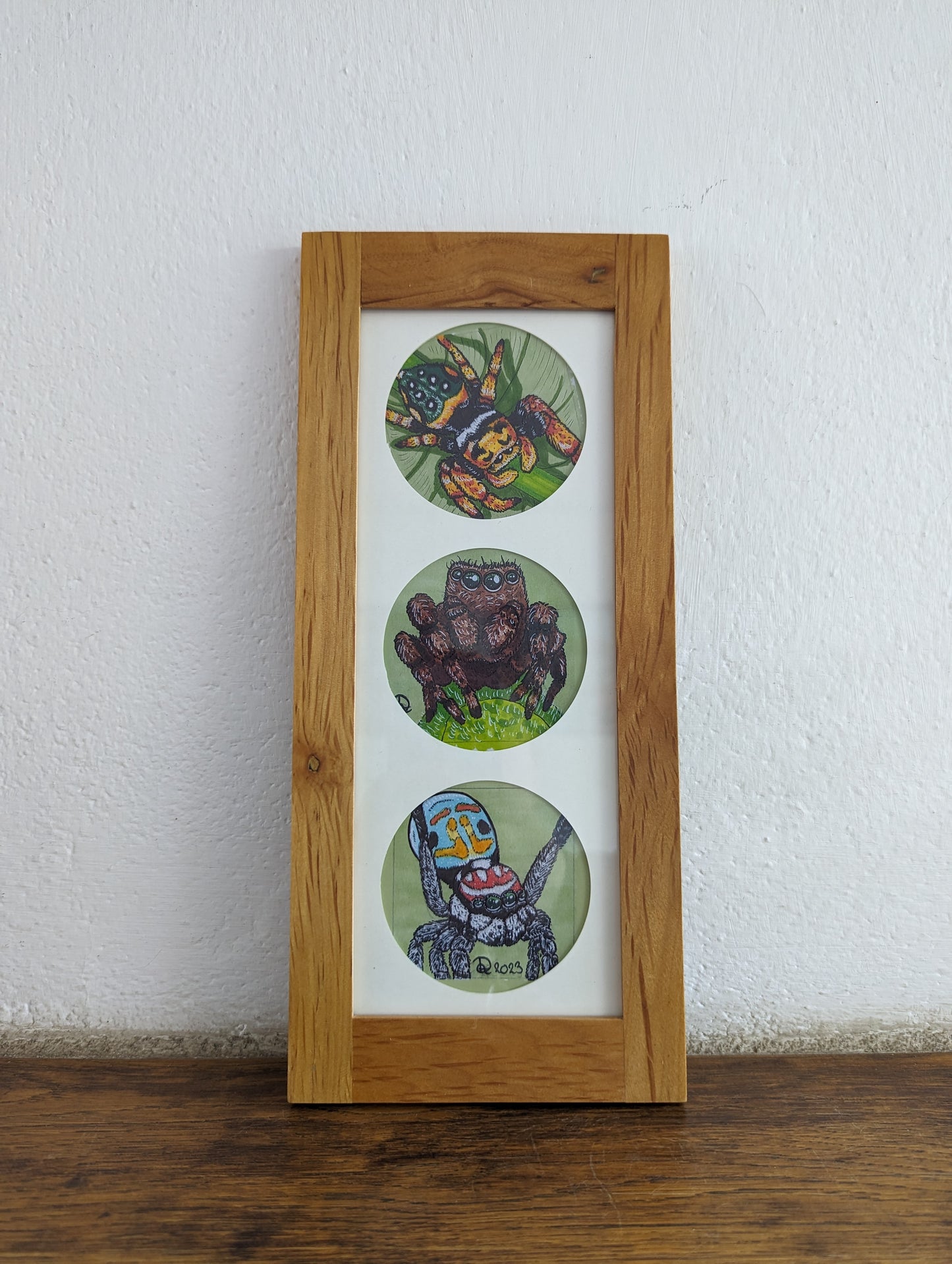 Framed Art Print Jumping Spiders