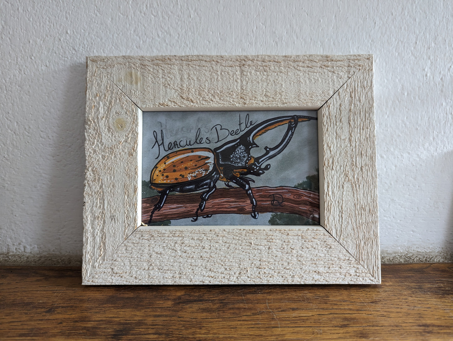 Framed Art Print Hercules Beetle