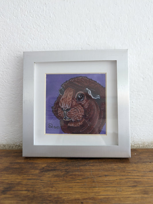 Framed Art Print Brown Guinea Pig