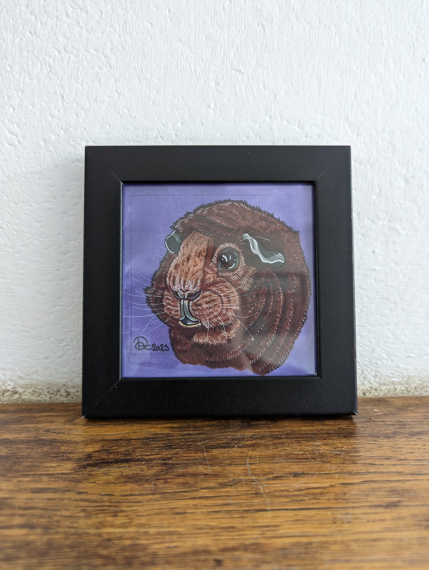 Framed Art Print Brown Guinea Pig