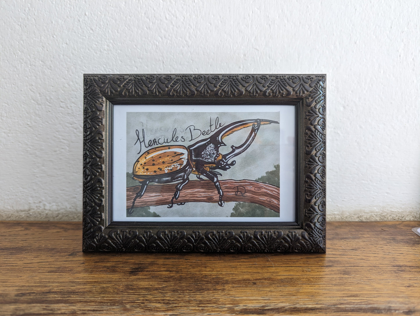 Framed Art Print Hercules Beetle