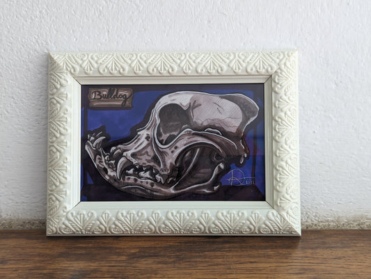 Framed Art Print Dog Skull