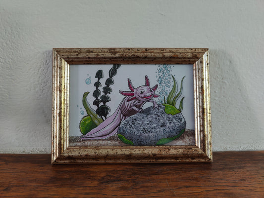 Framed Art Print Axolotl