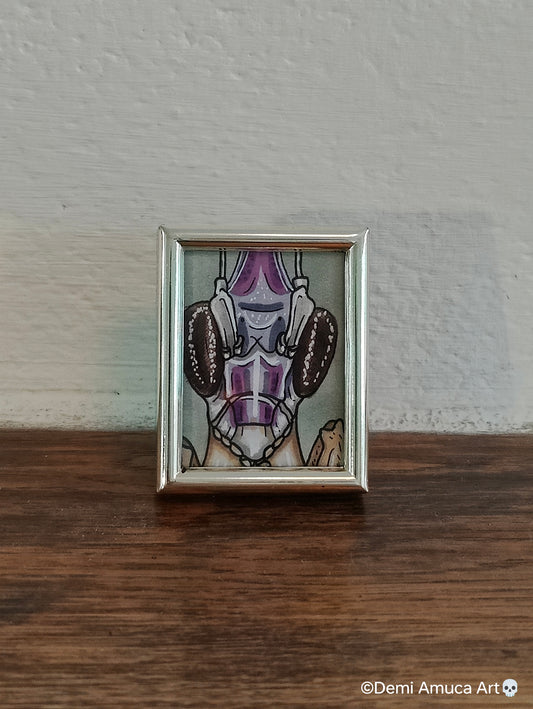 Framed Art Print Tiny Grasshopper