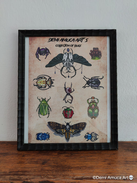 Framed Art Print Collection of Bugs (Pick up Preferred)