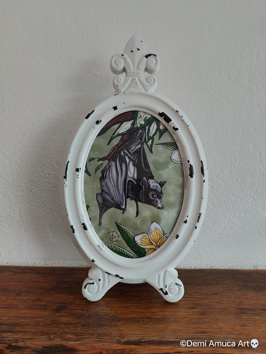 Framed Art Print Oval Bat