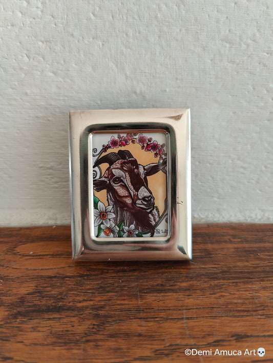 Framed Art Print: Bram the Goat