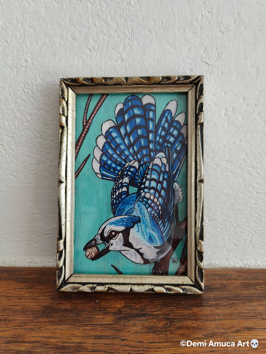 Framed Art Print: Blue Jay