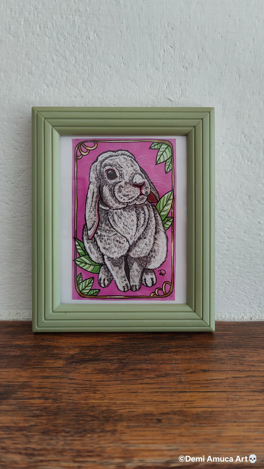 Framed Art Print: White Bunny