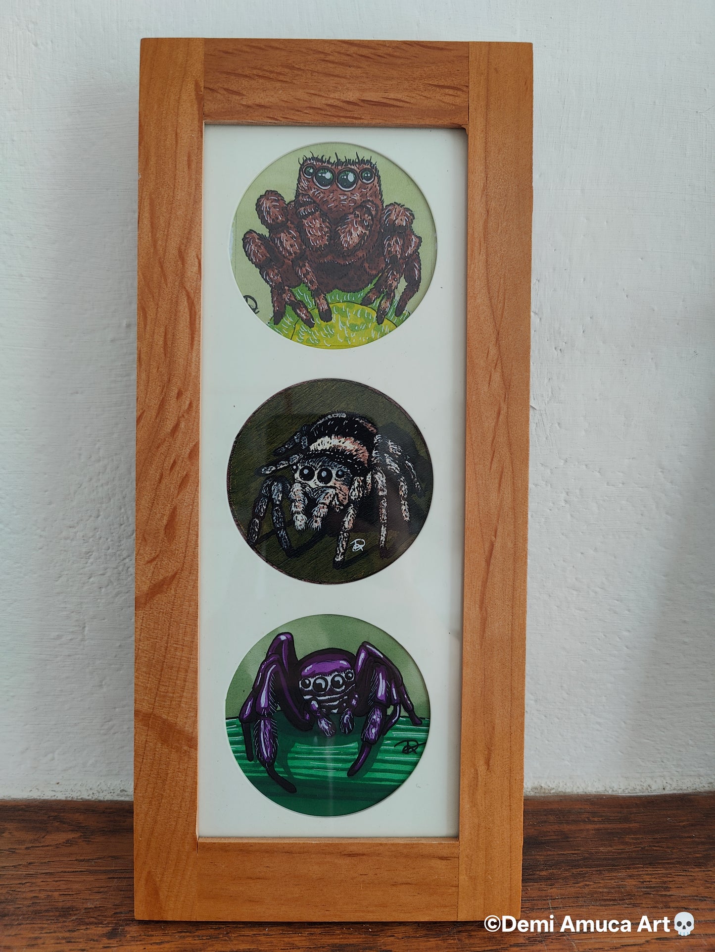 Framed Art Print Jumping Spiders
