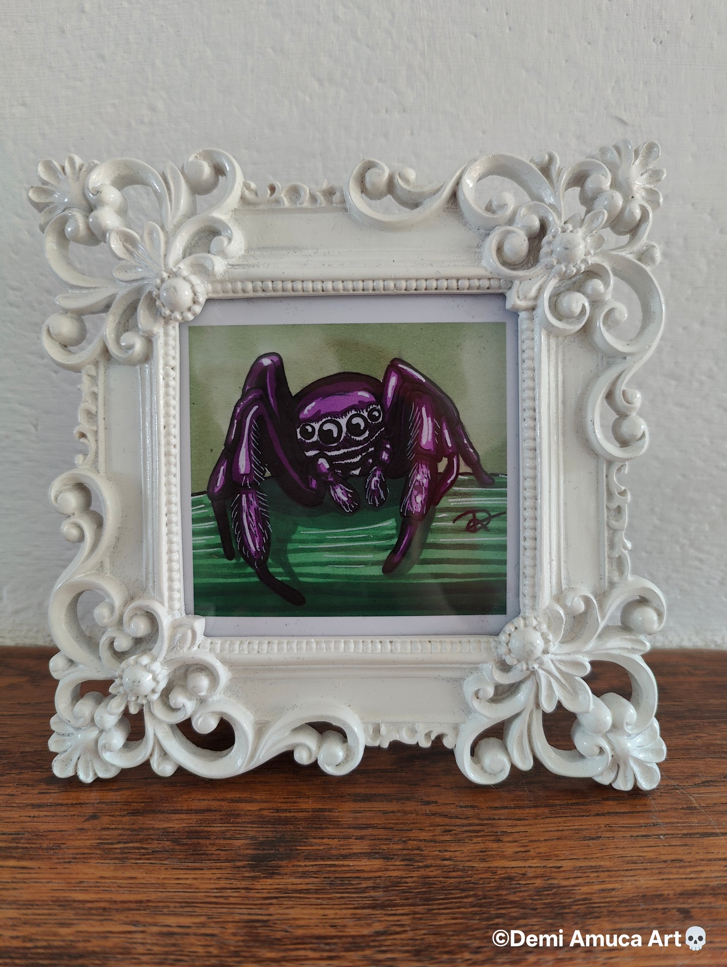 Framed Art Print: Jumping Spiders