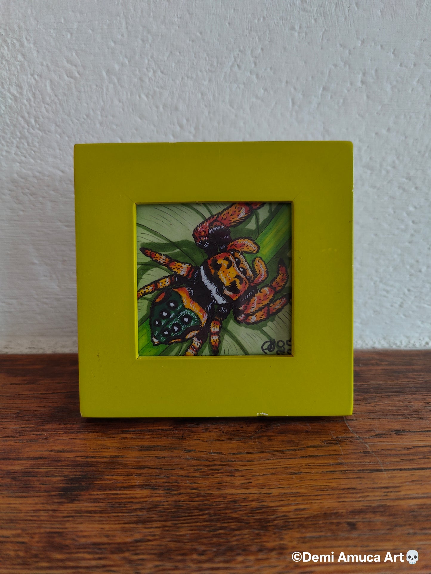 Framed Art Print: Yellow Jumping Spider