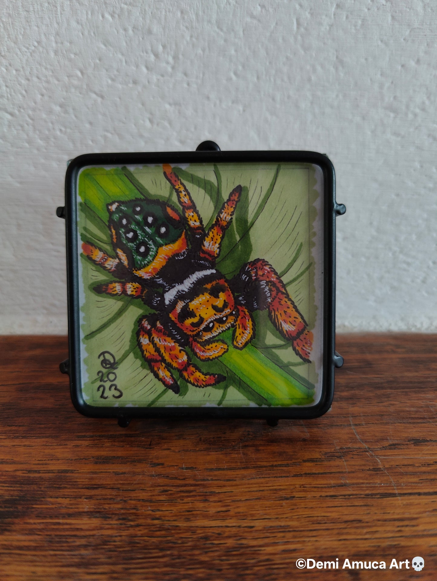 Framed Art Print: Yellow Jumping Spider