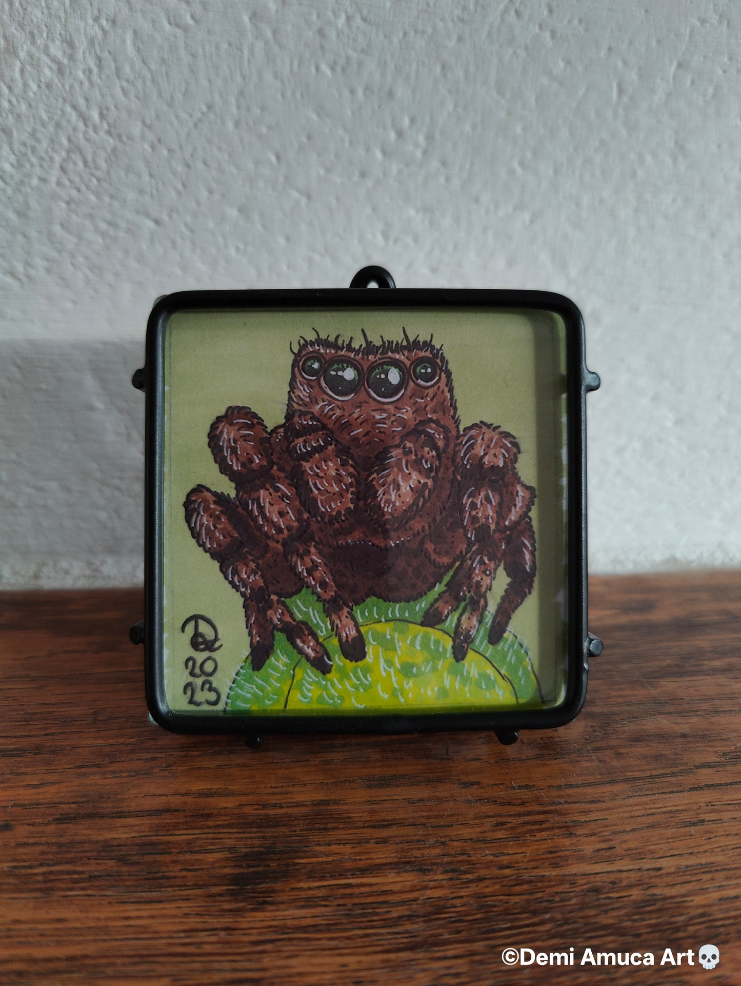 Framed Art Print: Brown Jumping Spider